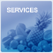 Servicios