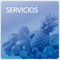 Servicios